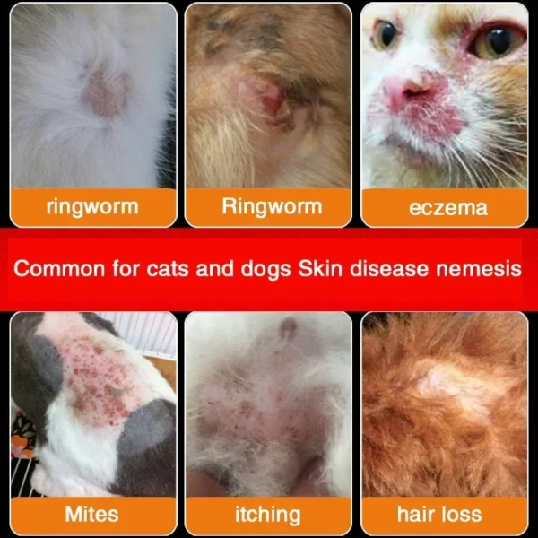 Special care ointment for cat and dog ringworm dog skin disease pet ointment mite fungal infection scratching - Image 3