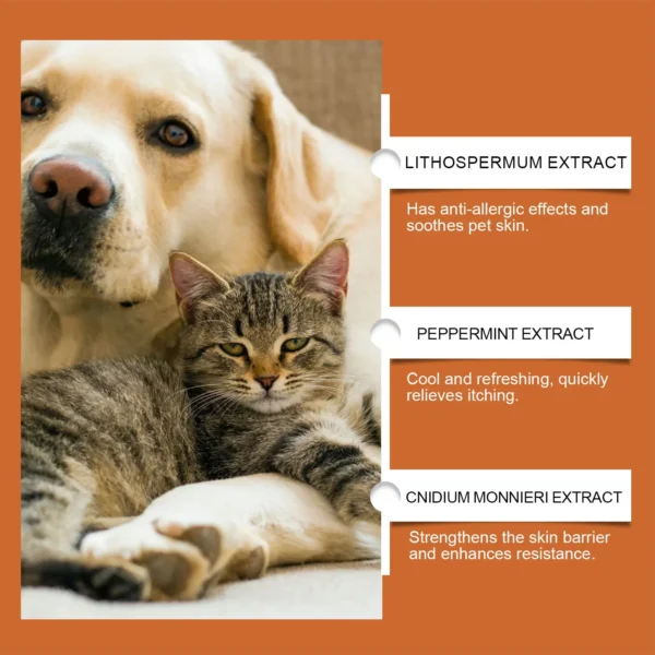 Special care ointment for cat and dog ringworm dog skin disease pet ointment mite fungal infection scratching - Image 6