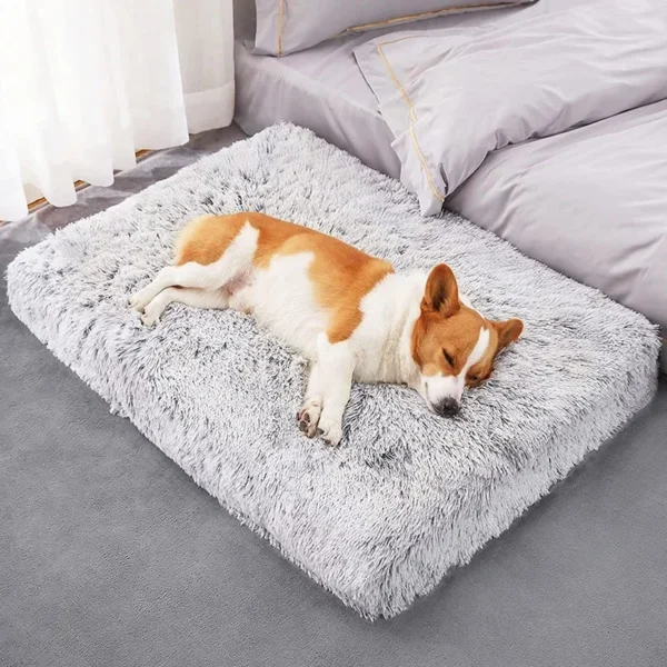 Plush Dog Bed Mat Cat Beds for Small Medium Large Dogs Removable for Cleaning Puppy Cushion Super Soft Claming Dog Beds Pet Bed - Image 2