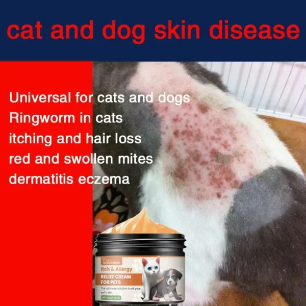 Special care ointment for cat and dog ringworm dog skin disease pet ointment mite fungal infection scratching