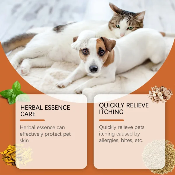 Special care ointment for cat and dog ringworm dog skin disease pet ointment mite fungal infection scratching - Image 4