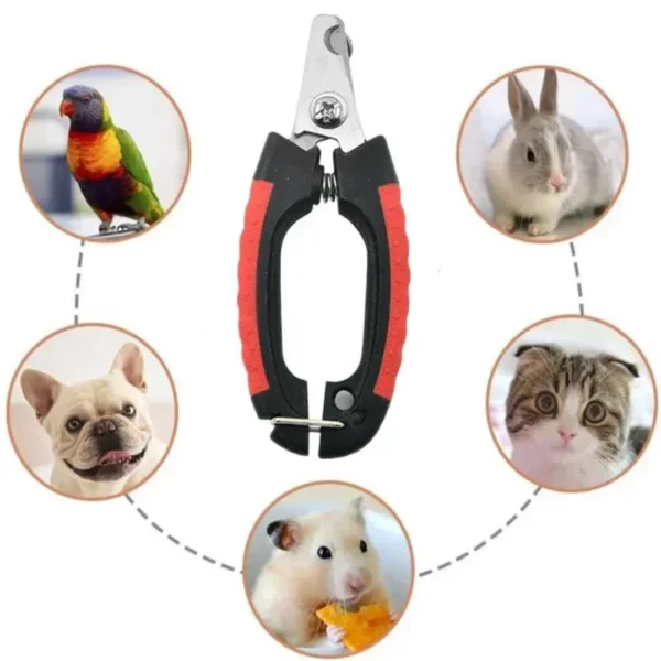 Professional Pet Dog Nail Clipper Cutter Stainless Steel Grooming Scissors Clippers for Animals Cats - Image 6