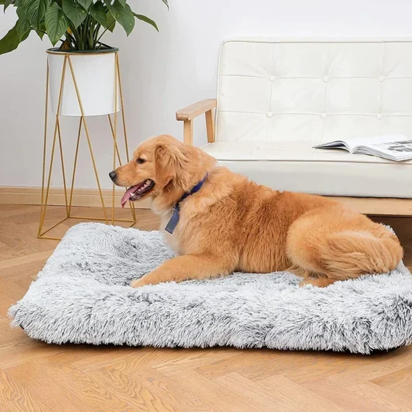 Plush Dog Bed Mat Cat Beds for Small Medium Large Dogs Removable for Cleaning Puppy Cushion Super Soft Claming Dog Beds Pet Bed - Image 3